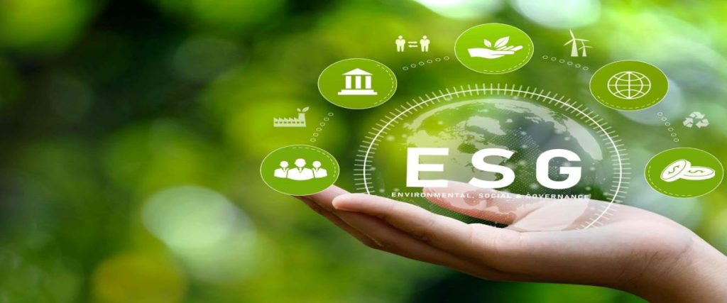 ESG Ratings Problems I: The Rater Effect